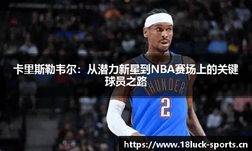 新利体育官方网站